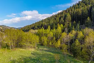 5896 Peregrine Trail, Golden, CO 80403 - Photo 42