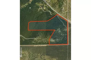 5896 Peregrine Trail, Golden, CO 80403 - Photo 46