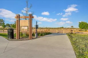 2716 San Cristobal Ct, Timnath, CO 80547 - Photo 36