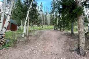401 Blackfoot Rd, Red Feather Lakes, CO 80545 - Photo 28