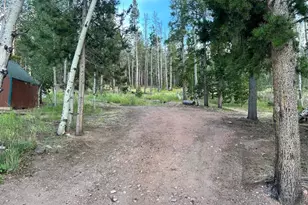 401 Blackfoot Rd, Red Feather Lakes, CO 80545 - Photo 30