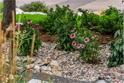 3294 Grizzly Way, Wellington, CO 80549 - Photo 24