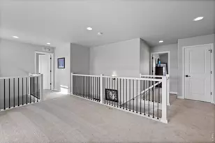 356 Blue Star Dr, Windsor, CO 80550 - Photo 18