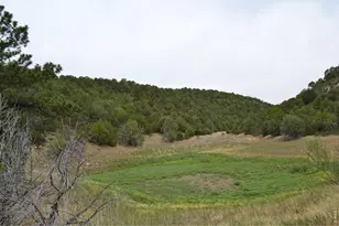 17001 Peacock Rd, Trinidad, CO 81082 - Photo 36