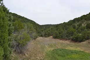 17001 Peacock Rd, Trinidad, CO 81082 - Photo 32