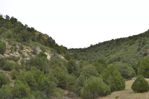 17001 Peacock Rd, Trinidad, CO 81082 - Photo 34