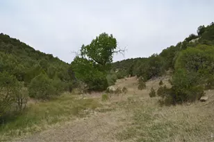 17001 Peacock Rd, Trinidad, CO 81082 - Photo 22