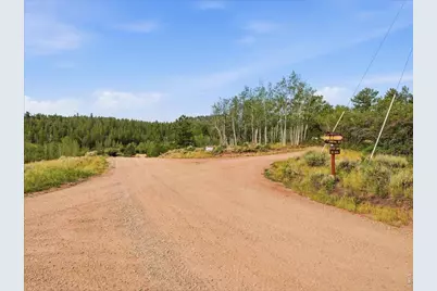 43 Chetco Ct, Red Feather Lakes, CO 80545 - Photo 22