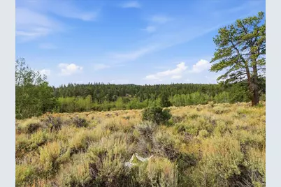 43 Chetco Ct, Red Feather Lakes, CO 80545 - Photo 30