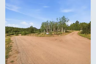 43 Chetco Ct, Red Feather Lakes, CO 80545 - Photo 24