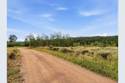 43 Chetco Ct, Red Feather Lakes, CO 80545 - Photo 26