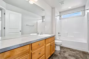 3787 River Birch St, Wellington, CO 80549 - Photo 24