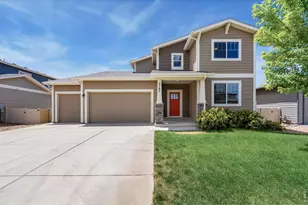 3787 River Birch St, Wellington, CO 80549 - Photo 1