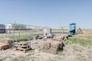 15563 Road 7 3, Wiggins, CO 80654 - Photo 26