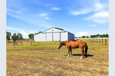 7212 County Road 4, Brighton, CO 80603 - Photo 4