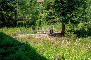 139 Forest Trail, Winter Park, CO 80482 - Photo 46