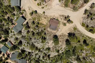 133 Black Bear Trail, Golden, CO 80403 - Photo 22