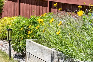2104 Gather Ct, Windsor, CO 80550 - Photo 38