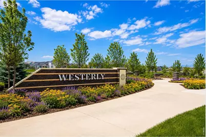 239 Washington St, Erie, CO 80516 - Photo 32