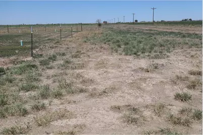20463 County Road 86, Ault, CO 80610 - Photo 6