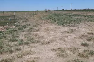 20463 Co Rd 86, Ault, CO 80610 - Photo 6