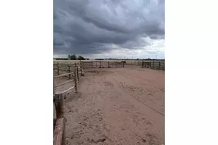 8969 Hwy 52, Wiggins, CO 80654 - Photo 40