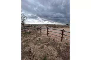 8969 Hwy 52, Wiggins, CO 80654 - Photo 38