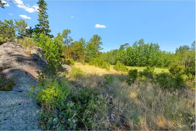 1532 Fox Acres Dr W, Red Feather Lakes, CO 80545 - Photo 14