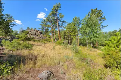 1532 Fox Acres Dr W, Red Feather Lakes, CO 80545 - Photo 10