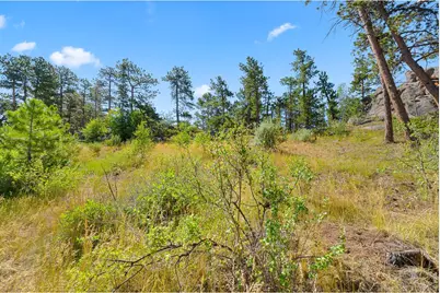 1532 Fox Acres Dr W, Red Feather Lakes, CO 80545 - Photo 20