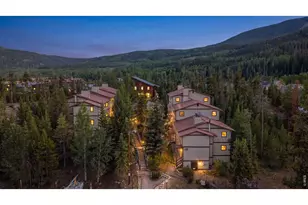 216 Pitkin St, Frisco, CO 80443 - Photo 4