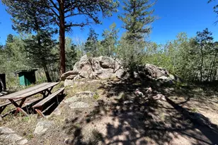 745 Nokomis Rd, Red Feather Lakes, CO 80545 - Photo 12