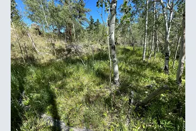745 Nokomis Rd, Red Feather Lakes, CO 80545 - Photo 10