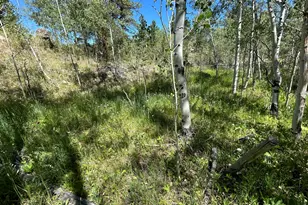 745 Nokomis Rd, Red Feather Lakes, CO 80545 - Photo 10