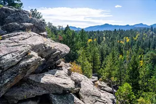 842 Lakeshore Dr, Boulder, CO 80302 - Photo 42