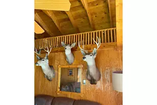 31720 Poudre Canyon Rd, Bellvue, CO 80512 - Photo 8