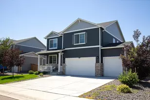 3691 Speedwell St, Wellington, CO 80549 - Photo 40