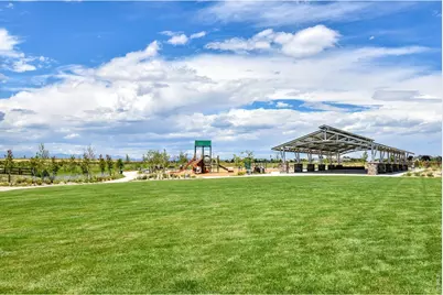 817 Shade Tree Dr, Windsor, CO 80550 - Photo 44