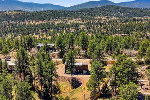 280 Bunny Rd, Bailey, CO 80421 - Photo 48