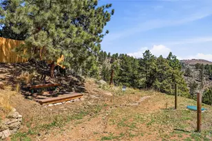 280 Bunny Rd, Bailey, CO 80421 - Photo 46