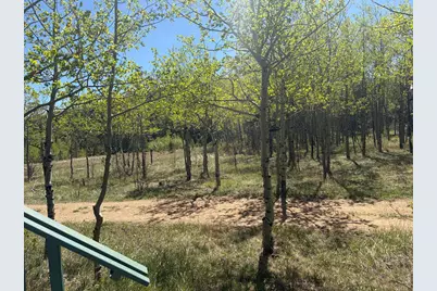 625 Pine Cone Cir, Ward, CO 80481 - Photo 12