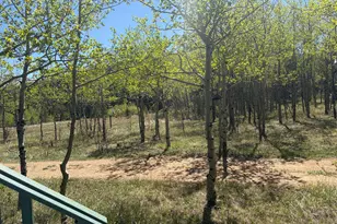 625 Pine Cone Cir, Ward, CO 80481 - Photo 12