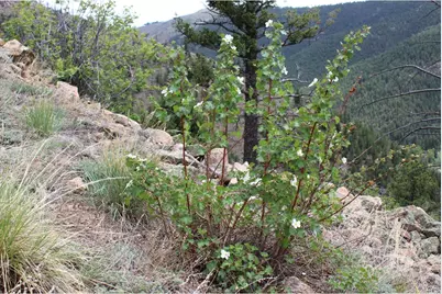0 Pennsylvania Gulch Rd, Boulder, CO 80302 - Photo 22