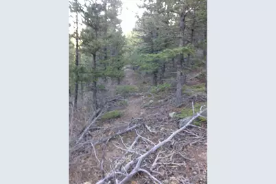 0 Pennsylvania Gulch Rd, Boulder, CO 80302 - Photo 4