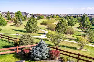 3969 Cashen Ln, Timnath, CO 80547 - Photo 4