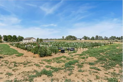 444 E County Road 68, Fort Collins, CO 80524 - Photo 34