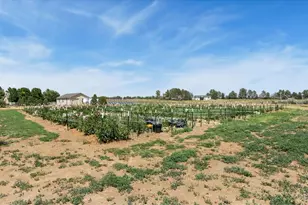 444 E Co Rd 68, Fort Collins, CO 80524 - Photo 34