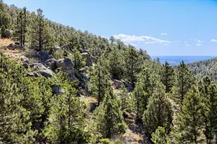 266 Peakview Rd, Boulder, CO 80302 - Photo 38