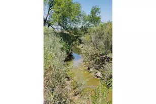 255 Kattell St, Erie, CO 80516 - Photo 40