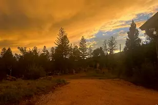 62 Spokane Ct, Red Feather Lakes, CO 80545 - Photo 30